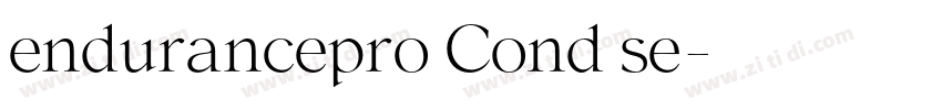 endurancepro Cond se字体转换